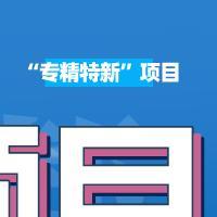 “专精特新”小巨人项目