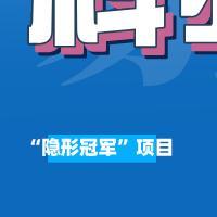 “隐形冠军”项目