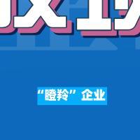 “瞪羚”企业项目