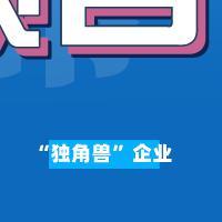 “独角兽”企业项目