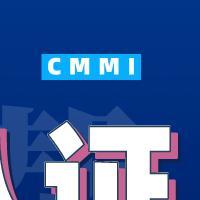 CMMI-ML3 
